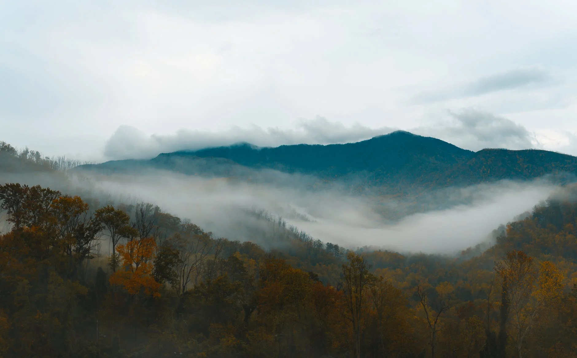 The Last Month in Evaluation (with some thoughts on AEA)